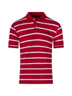 Pique Stripe Polo