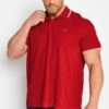 Short Sleeve Polo Shirt 2 Short Sleeve Polo Shirt -Joe Browns Store m5063110050957 scarlet xl