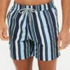 Threadbare 'Bonito' Vertical Stripe Print Swim Shorts -Joe Browns Store m7625914119162 blue xl
