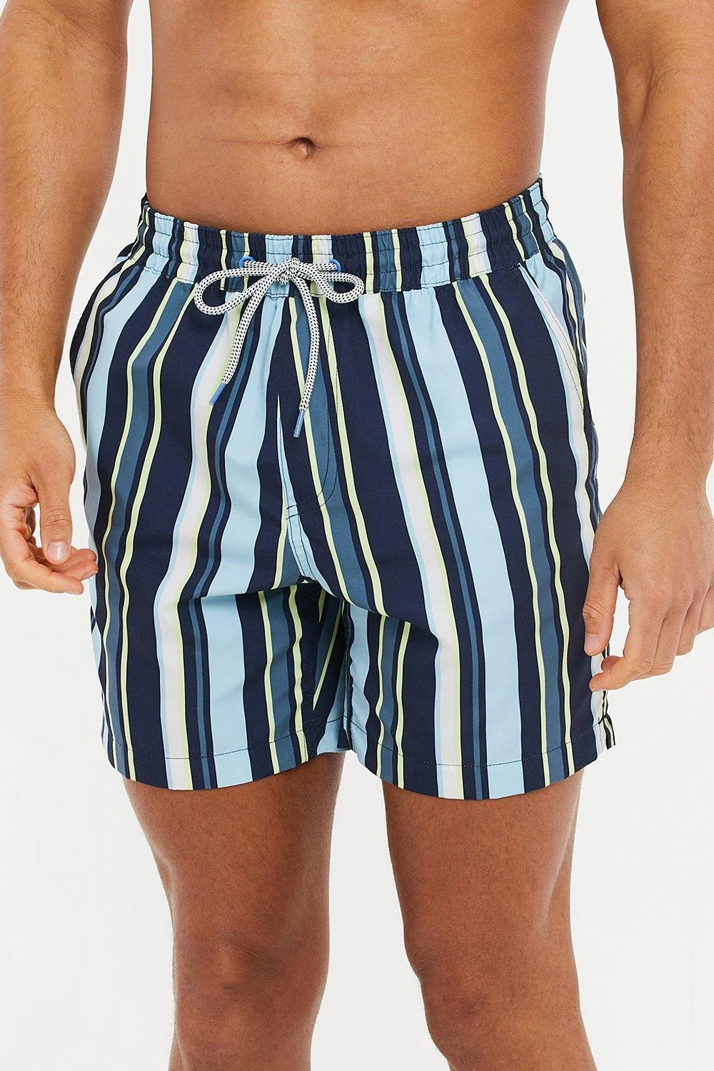 Threadbare 'Bonito' Vertical Stripe Print Swim Shorts 3 Threadbare 'Bonito' Vertical Stripe Print Swim Shorts