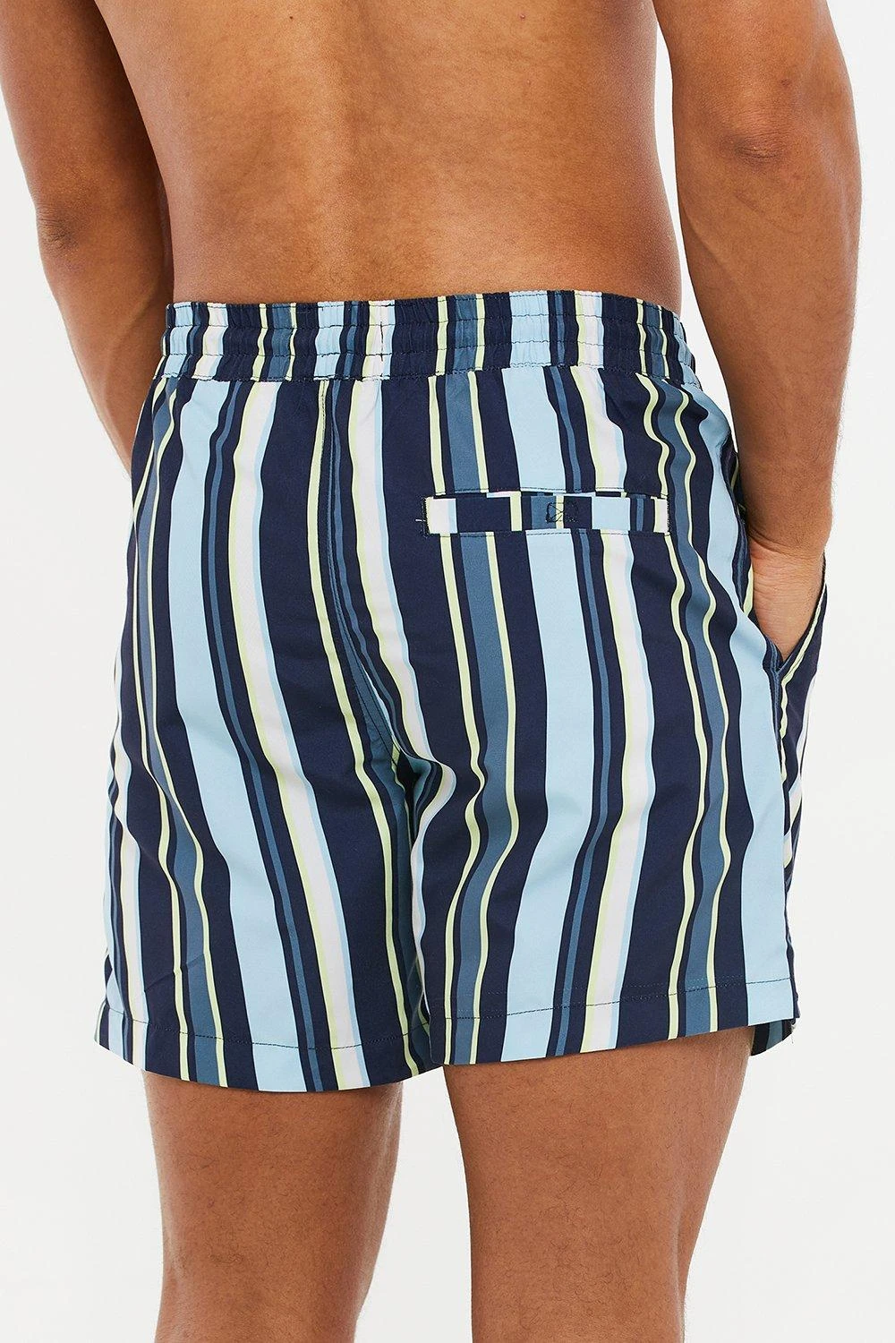 Threadbare 'Bonito' Vertical Stripe Print Swim Shorts 4 Threadbare 'Bonito' Vertical Stripe Print Swim Shorts - Image 2