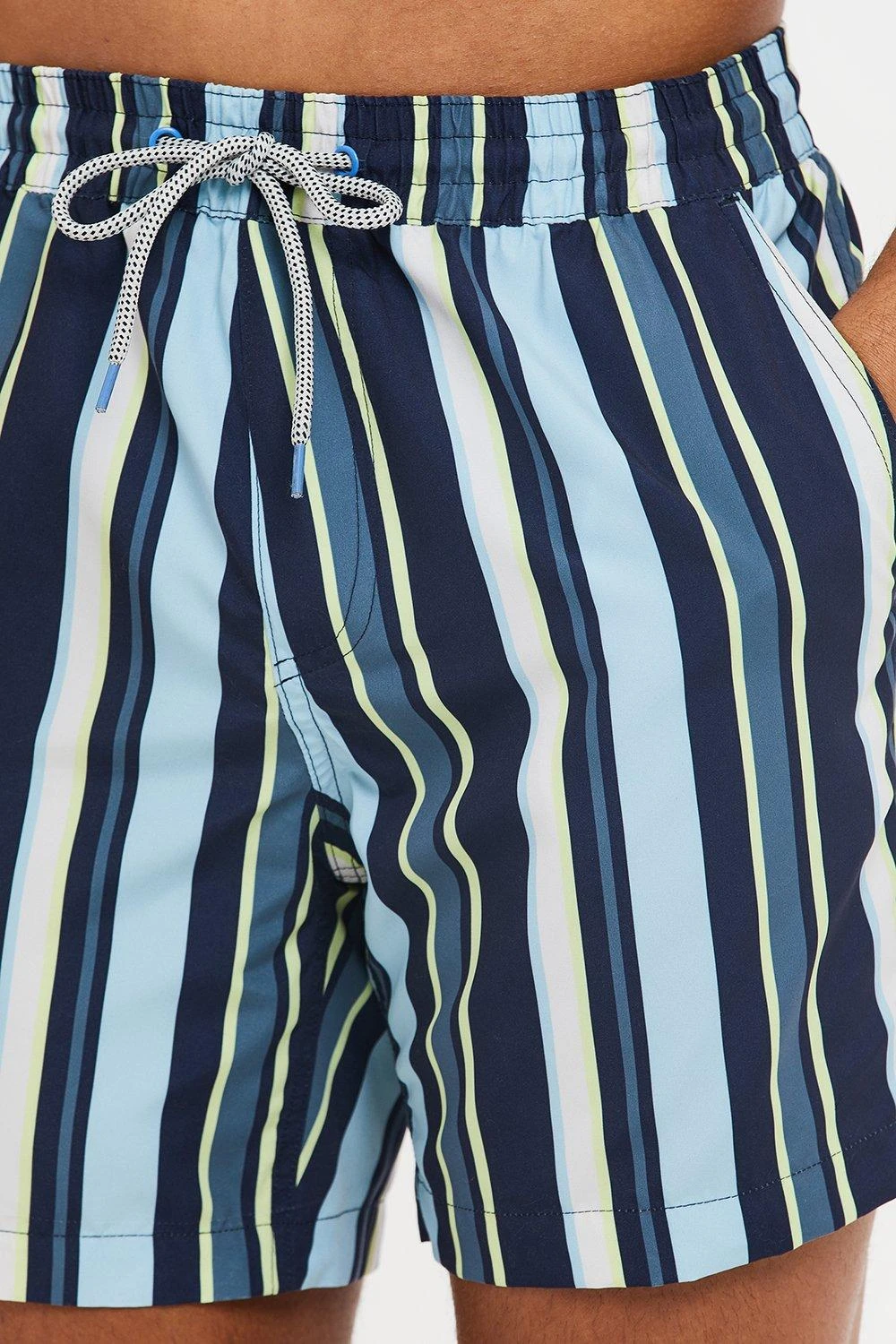 Threadbare 'Bonito' Vertical Stripe Print Swim Shorts 6 Threadbare 'Bonito' Vertical Stripe Print Swim Shorts - Image 4