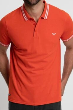 Threadbare 'Joss' Pique Polo Shirt -Joe Browns Store m7625914239280 red xl 3